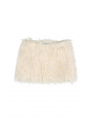 Fur Embroidered Mini Skirt Vous souhaitez 