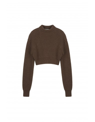 Heavy Wool Cropped Knit Top vous aussi creer 