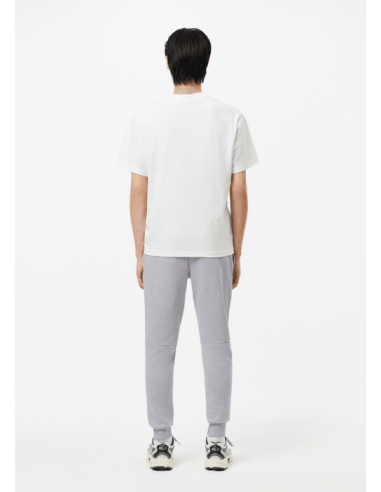 Pantalon de jogging Lacoste gris Venez découvrir notre 